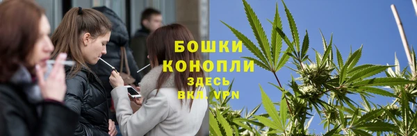 спиды Карталы