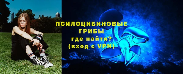 мдпв Киренск