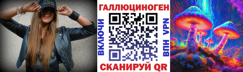 Купить  Уварово  Псилоцибиновые грибы Psilocybine cubensis 